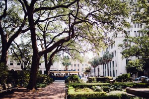 Beautiful Destination Wedding in Savannah