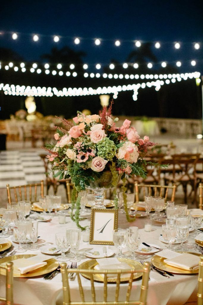 Rattoo_Rattoo_Erika_Delgado_Photography_EDP0580