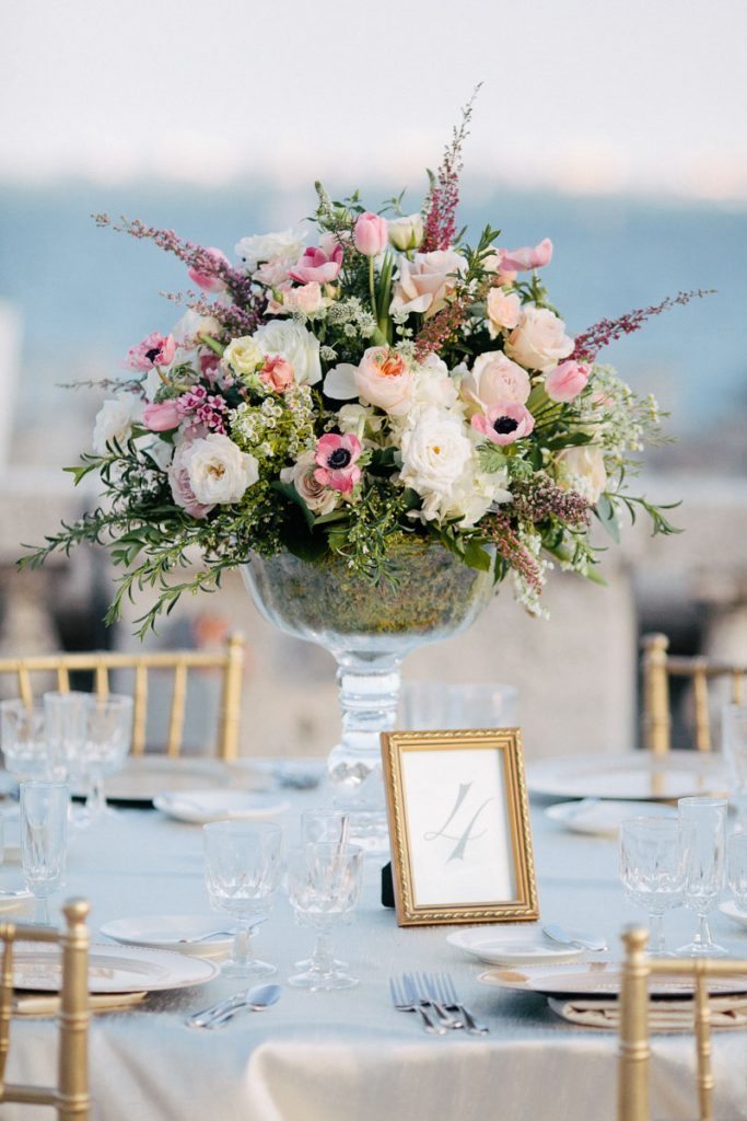 Rattoo_Rattoo_Erika_Delgado_Photography_EDP1306