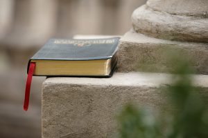 Rich Red Wedding at Atlanta History Center in Atlanta, GA