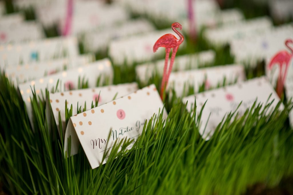 Gordon_Gubman_JuliaFranzosaPhotography_ColorfulChicagoWedding0052_big